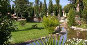 a garden with a pond in the middle of a yard at Château des Fontaines in Canet d'Aude +8 photos
