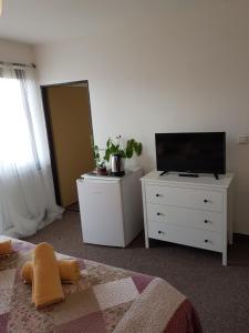 Dormitorio con cama y tocador con TV en Penzion Lamberk, en Nový Jičín