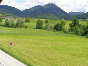 a field of green grass next to a road at Gästehaus Eschenhof in Reit im Winkl