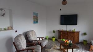 TV a/nebo společenská místnost v ubytování apartman Marina