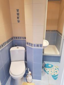 a small bathroom with a toilet and a sink at Elexia in Sianozety +32 photos
