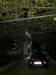 Mynd úr myndasafni af House Dea Dea í Chakvi