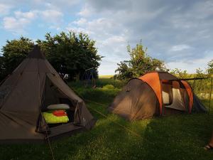 ein Zelt im Gras neben einem Feld in der Unterkunft Eternahof in Bad Gandersheim