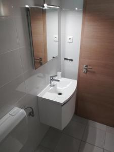 łazienka z umywalką, toaletą i lustrem w obiekcie Apartments Granzola w Sukošanie