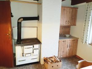 a kitchen with an old stove in a room at Almhütte Kristabauer in Predlitz