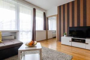 Televiisor ja/või meelelahutuskeskus majutusasutuses Flat at the Danube with wellness
