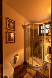 Un baño con ducha, inodoro y lavabo. en Villa Evdora, en Alyki 70 fotos más
