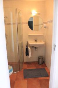 ein Bad mit einer Dusche, einem Waschbecken und einem Spiegel in der Unterkunft Bluesheep-texel in De Koog