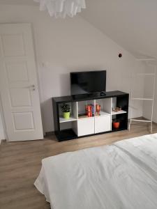 Televízia a/alebo spoločenská miestnosť v ubytovaní Green Garden Plus Apartman