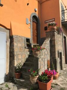 a building with potted plants in front of a door at francalancia52 in Bagnoregio