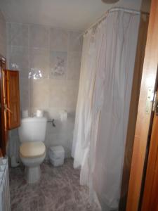 ein Badezimmer mit Toilette und Duschvorhang in der Unterkunft Hostal El Portalico in Linares de Mora