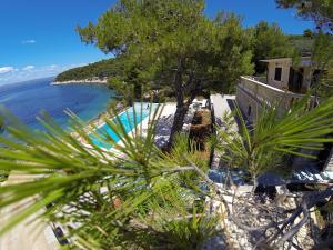a view of a swimming pool and the ocean at Holiday house Karla in Vela Luka