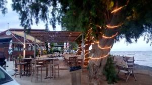 a tree with lights on it in front of a restaurant at Anna's Apartment and Studio in Artemida