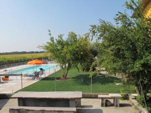 Bazén v ubytování Agriturismo Bortolino nebo v jeho okolí + 37 fotografií