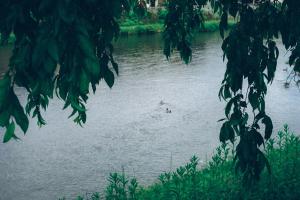 Vista sul fiume nelle vicinanze della casa vacanze