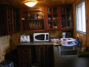 una cocina con encimera y microondas. en 78 Montague en Digby