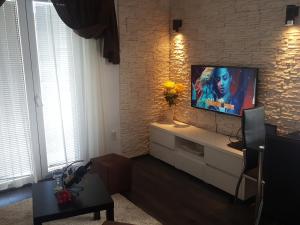 a living room with a flat screen tv on a brick wall at Apartment Djordje Budva-Jaz in Kukaljevina