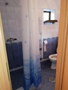 a bathroom with a shower and a toilet at Cabana Ocna Mesaros in Ocna Şugatag +44 photos