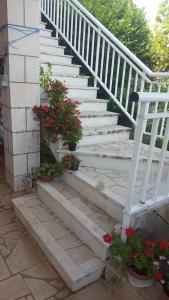 Fotografie z fotogalerie ubytování Apartments Lejla Korčula v destinaci Korčula