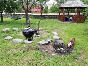 a grill in a yard with a gazebo at Cabana Ocna Mesaros in Ocna Şugatag