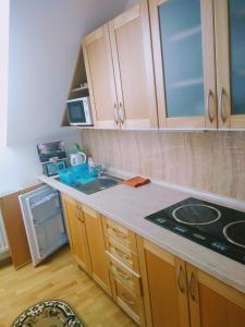 Apartmán 80 في اورافسكي بودزاموك: مطبخ مع مغسلة وموقد