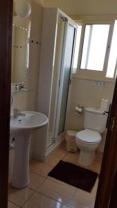 uma casa de banho com um WC, um lavatório e um chuveiro em Lazaros Pissouri Apartments em Pissouri