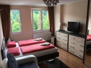 A bed or beds in a room at Holiday Apartment Spindleruv Mlyn