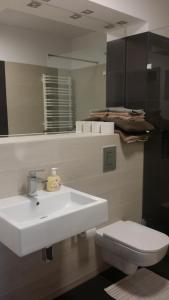 ポゴジェリツァにあるApartament w przy plażyのバスルーム(洗面台、トイレ、鏡付)