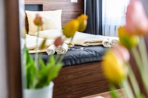 ジンゲンにあるHotel JÄGERHAUS in Singen am Hohentwielの鏡