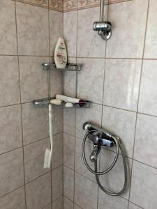 ein Badezimmer mit Dusche mit Duschkopf in der Unterkunft Holiday House Crik in Crikvenica