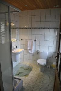 a bathroom with a toilet and a sink at Jaworowa Zagroda in Domaszków