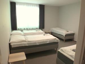 Fotografie z fotogalerie ubytování Hotel Salaš v destinaci Šenov u Nového Jičína