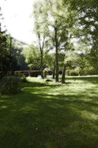 
a grassy area with trees and a lake at Freimühle Hotel-Restaurant in Girod
