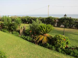 Zdjęcie z galerii obiektu Malaga Paradise Beach w mieście Torre de Benagalbón +29 zdjęć