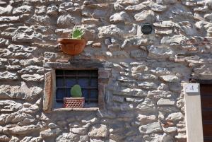 a window in a stone wall with a potted plant at Le Dame del Borgo in Sassetta