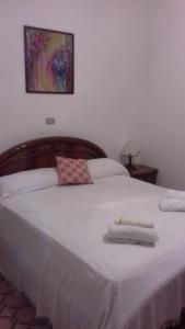 Tempat tidur dalam kamar di Affittacamere da Rosa