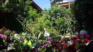 un jardín lleno de plantas y flores en Ivolga Guest House, en Koktebel