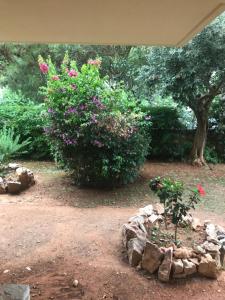 A garden outside Athens Glyfada Riviera Apartment