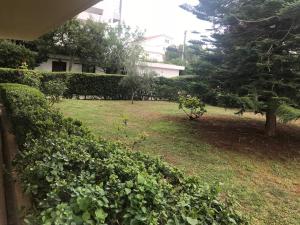 A garden outside Athens Glyfada Riviera Apartment