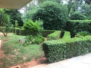 A garden outside Athens Glyfada Riviera Apartment