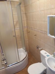 a bathroom with a shower and a toilet and a sink at Uniejów Pensjonat Pod Miłorzębem in Uniejow
