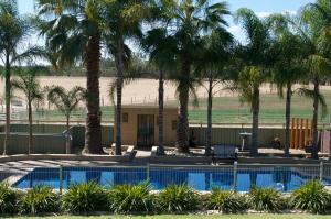 a swimming pool with palm trees in front of a building at Tokemata Retreat in Cobram