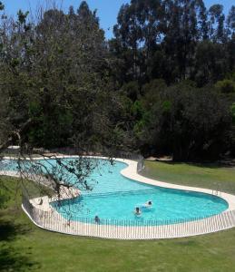 a group of people swimming in a swimming pool at Lomas de Papudo III in Papudo