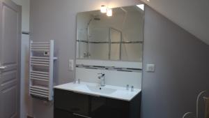 a bathroom with a sink and a mirror at Chambres d'hotes Maison Gille in Nuits-Saint-Georges +14 photos