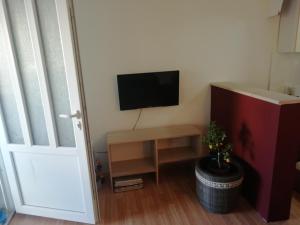 a room with a tv and a table with a plant at apartman holiday budva in Budva