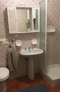 a bathroom with a sink and a toilet at La finestra sulle Dolomiti - The Window to the Dolomites in Fiera di Primiero
