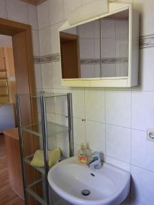 a bathroom with a sink and a mirror at Pension Angelika in Cottbus