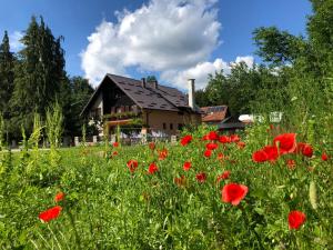 Vonkajšia záhrada v ubytovaní Plitvice Rooms Family Glumac