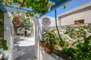 Zahrada ubytování Hotel Anixis