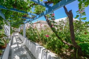 Zahrada ubytování Hotel Anixis